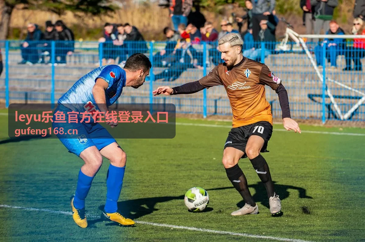 乐鱼官方服务动态与常见问题封面