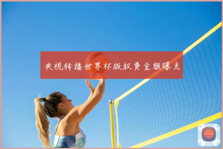 央视转播世界杯版权费金额曝光