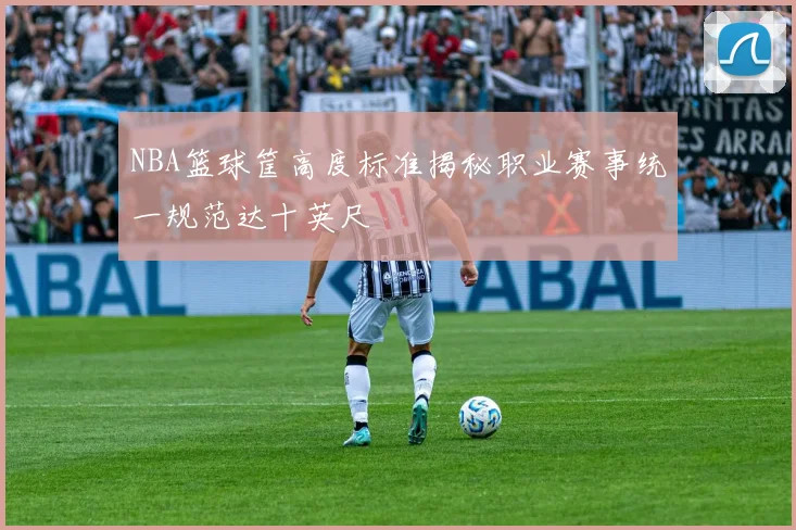 NBA篮球筐高度标准揭秘职业赛事统一规范达十英尺