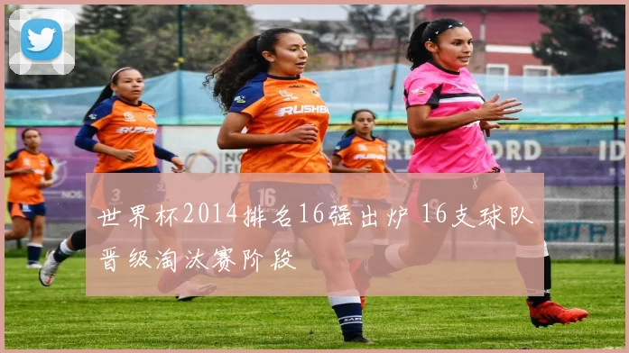 世界杯2014排名16强出炉 16支球队晋级淘汰赛阶段