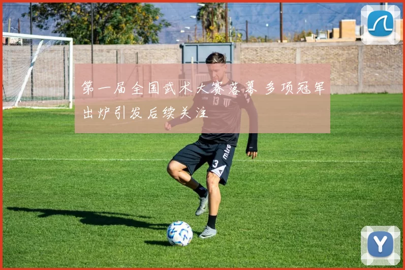 第一届全国武术大赛落幕 多项冠军出炉引发后续关注