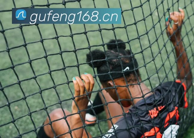 多媒体互动体验